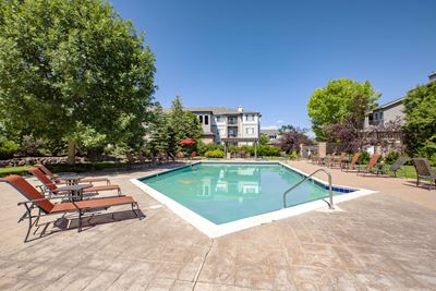 Sparkling Swimming Pool
